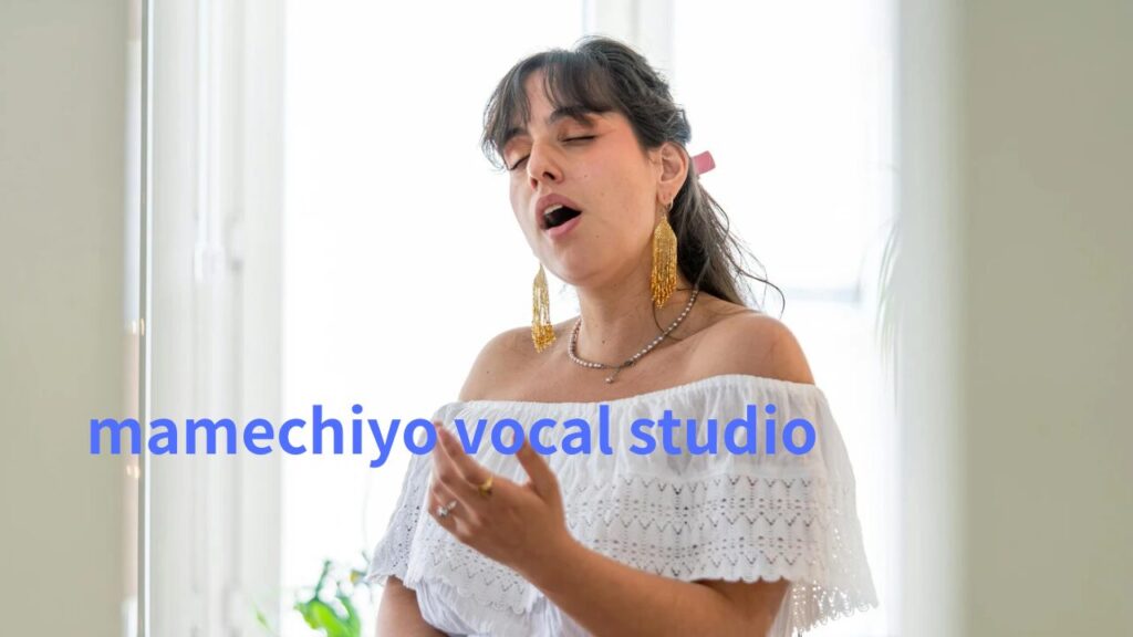 下北沢　恵比寿　新百合ヶ丘　駅前　mamechiyo ボーカル　スタジオ　ブログ素材