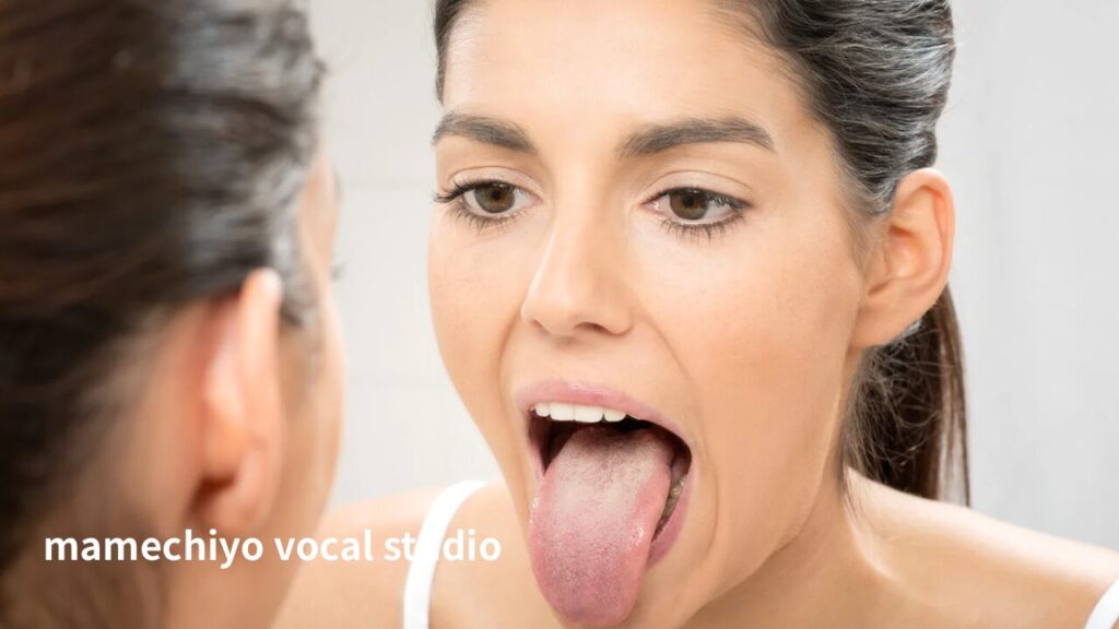 恵比寿 下北沢 新百合ヶ丘 駅前 マメチヨボーカルスタジオ ブログ素材