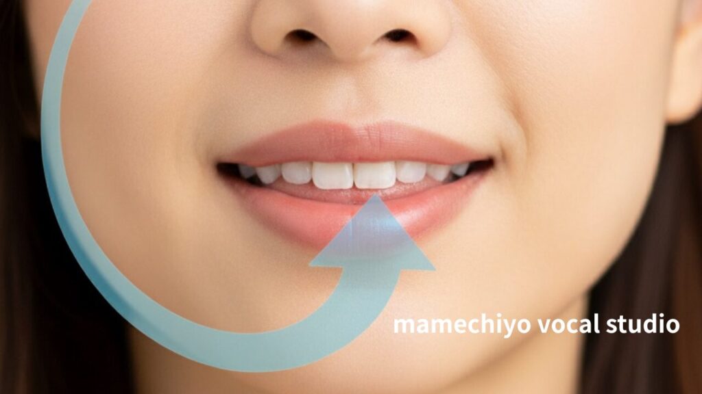 恵比寿　下北沢　新百合ヶ丘　駅前　マメチヨボーカルスタジオ　ブログ素材