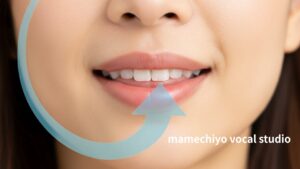 恵比寿　下北沢　新百合ヶ丘　駅前　マメチヨボーカルスタジオ　ブログ素材